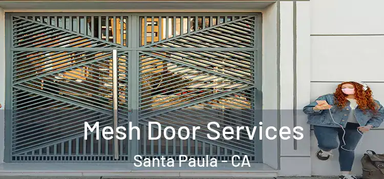 Mesh Door Services Santa Paula - CA
